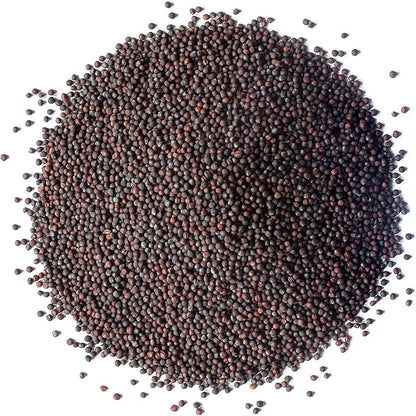 Food to Live Organic Broccoli Seeds for Sprouting, 1.5 Pounds – Non-GMO, Vegan, Kosher, Sirtfood, Bulk. Rich in Sulforaphane, Vitamin C. Grow Sprouts, Microgreens for Salads, and Sandwiches