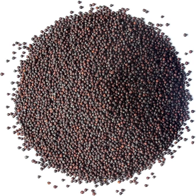 Food to Live Organic Broccoli Seeds for Sprouting, 2 Ounces – Non-GMO, Vegan, Kosher, Sirtfood, Bulk. Rich in Sulforaphane, Vitamin C. Grow Sprouts, Microgreens for Salads, and Sandwiches
