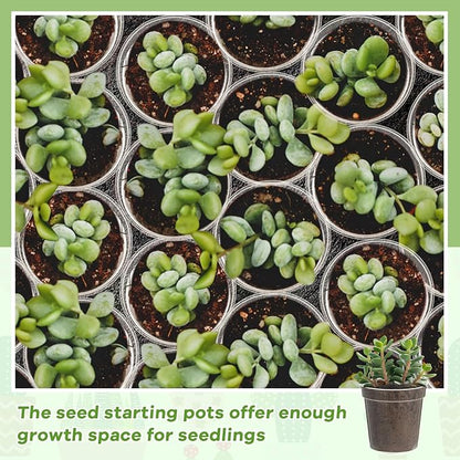 Yaomiao 80 Pcs 3 Inch Clear Mini Plastic Plant Pot Nursery Seedling Pots Seed Starter with Drainage Holes for Indoor Outdoor Garden Succulent Plants Cuttings Transplanting