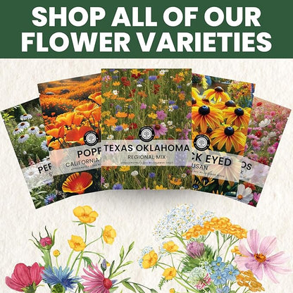 Texas Oklahoma Regional Mix – 79,000 Seeds for Planting – 2026 Season – 4 Ounce Pouch