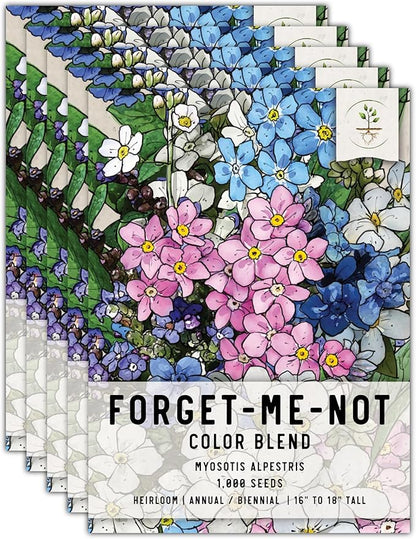 Seed Needs, Mixed Forget Me Not Seeds - 1,000 Heirloom Seeds for Planting Myosotis alpestris - Pink Blue & White Blooms, Open Pollinated & Pollinator Friendly (5 Packs)
