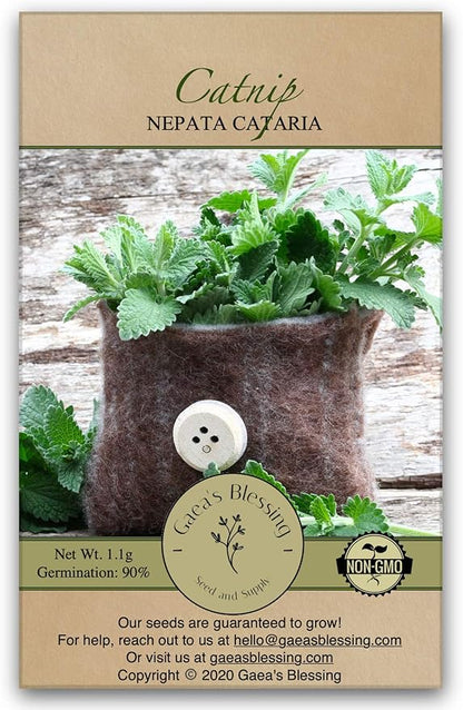 Gaea's Blessing Seeds - Catnip Seeds - Non-GMO Heirloom Seeds Nepata Cataria Open-Pollinated - with Easy to Follow Instructions - 90% Germination Rate Net Wt. 1.1g (Single Pack)