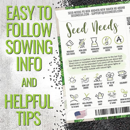 Seed Needs Sweet Basil & Italian Oregano Seeds for Planting Fresh Kitchen Herbs - Non-GMO Heirloom & Untreated Perennial & Annual Herb Seed to Plant a Culinary Garden Indoors or Outdoors (2 Packs)