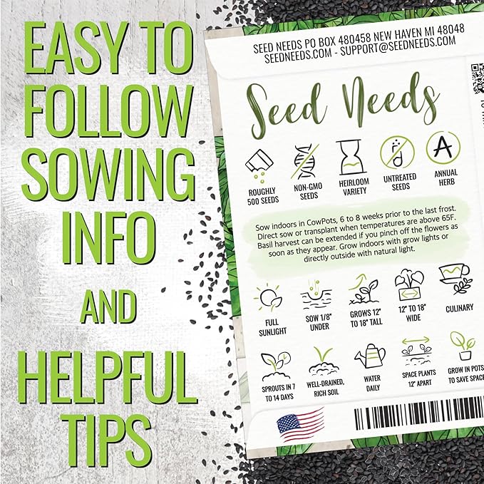 Seed Needs Genovese Basil/Lemon Basil Seeds for Planting Fresh Kitchen Herbs - Non-GMO Heirloom & Untreated Annual Herb Seed to Plant a Culinary Garden Indoors or Outdoors