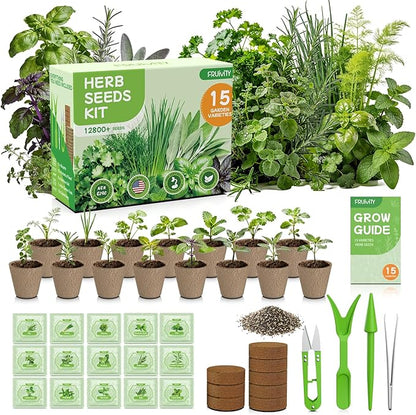 Herb Seeds Variety Pack – Fruivity 12800+ 15 in 1 Heirloom Seed Kits for Indoor/Outdoor Planting | Herb Indoor Garden Kit Starter - Complete Herb Garden Starter Set with Gift Packaging for Family