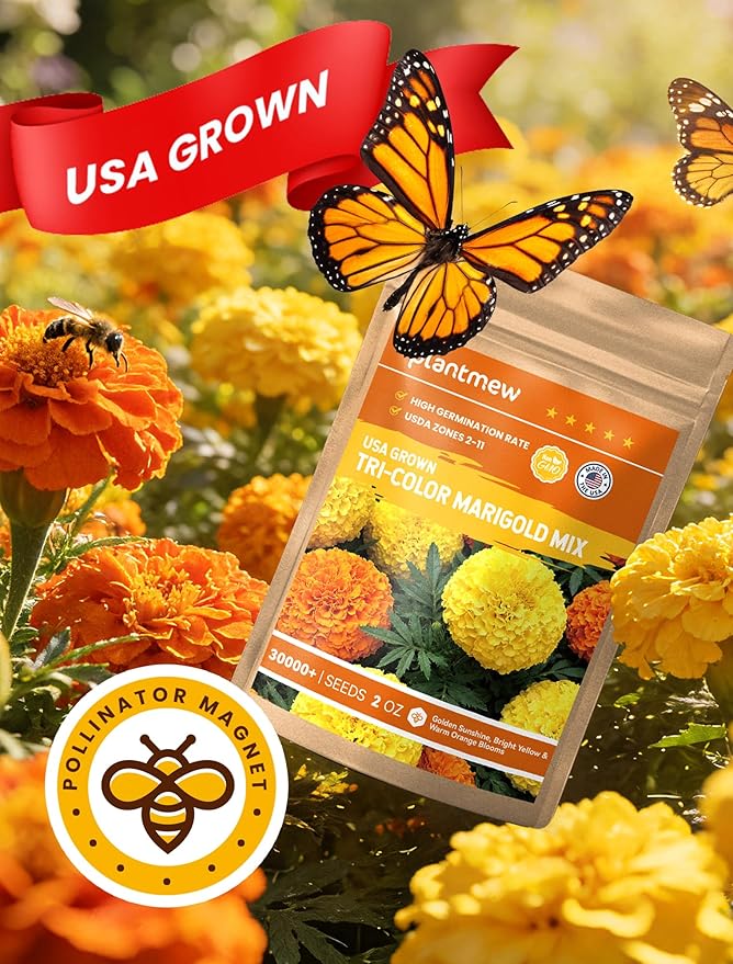 Tri-Color Marigold Seeds Bulk - 60,000+ Heirloom Flower Seeds for Planting Outdoors, Dwarf French Marigolds, Non-GMO Pollinator Magnet with High Germination, Quick Blooming