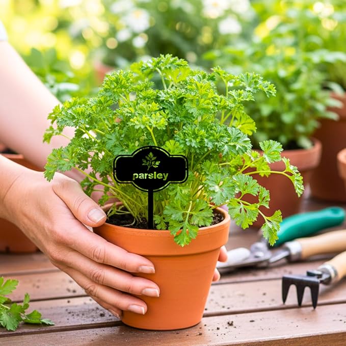 6 Piece Set Laser Cut Metal Garden Markers - Reusable Steel Tags for Potted Plants, Garden & Greenhouse. Durable Label for Kitchen Herbs & Spices