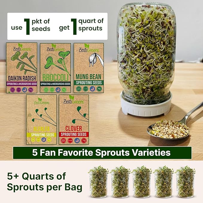 ZestiGreens Sprouting Seed Sampler – 5 Top Varieties (1 Pack Each, 11 g) | Broccoli, Alfalfa, Mung Bean, Clover & Daikon Radish | High-Germination, Perfect for Jars & Trays