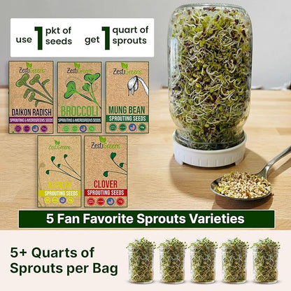 ZestiGreens Sprouting Seed Sampler – 5 Top Varieties (1 Pack Each, 11 g) | Broccoli, Alfalfa, Mung Bean, Clover & Daikon Radish | High-Germination, Perfect for Jars & Trays