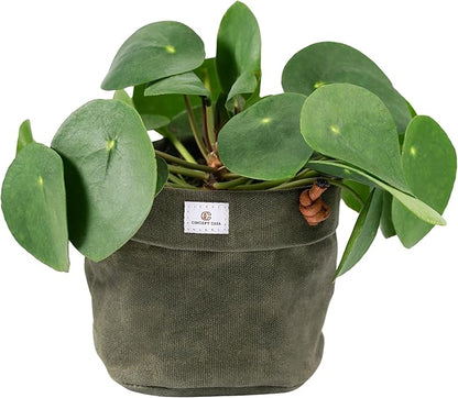 Waxed Canvas Handmade Hanging Planter for Indoor/Outdoor Plants, Hanging Basket Plant Holder Forest Green with Hook