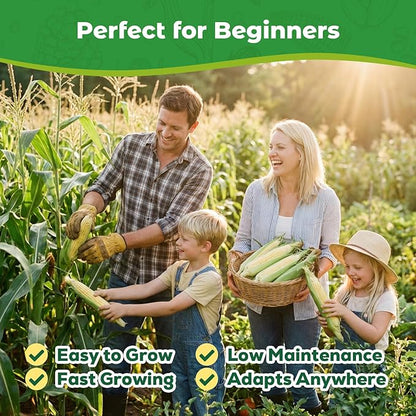 4 Corn Seeds Variety Pack - 200+ Non-GMO & Heirloom Corn Seeds for Planting Outdoor, Includes Sweet Corn, Golden Bantam,Silver Queen & Glass Gem Corn, Perfect Home Garden Gift for Beginners, Mom, Her