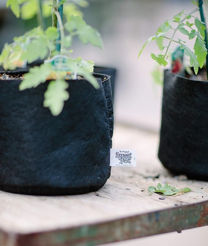 Smart Pots 3-Gallon Smart Pot Soft-Sided Container, Black