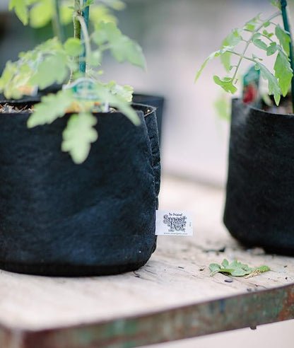 Smart Pots 3-Gallon Smart Pot Soft-Sided Container, Black