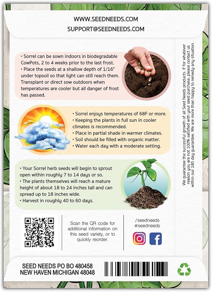 Seed Needs Large Leaf Sorrel Seeds for Planting - Heirloom Non-GMO & Untreated Medicinal or Culinary Herb - Grow a Home Grown Outdoor Garden (1 Pack)
