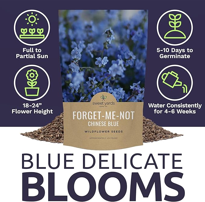 Chinese Forget Me Not Wildflower Seeds - Bulk 1/4 Pound Bag - Over 22,000 Open Pollinated Seeds - Blue Cynoglossum amabile