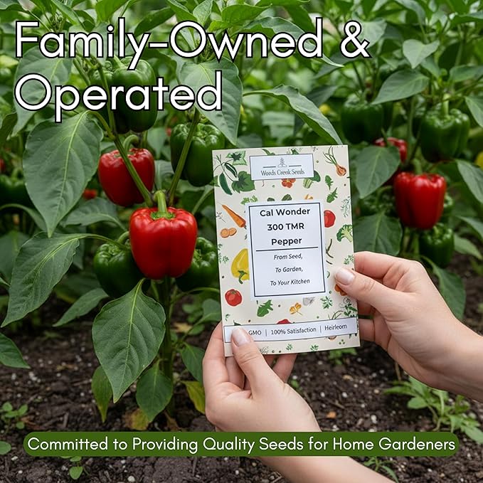 California Wonder 300 TMR Bell Pepper Seeds for Planting - Heirloom, Non-GMO Sweet Bell Peppers, Thick-Walled & Reliable, Home Garden Seeds | Woods Creek Seeds