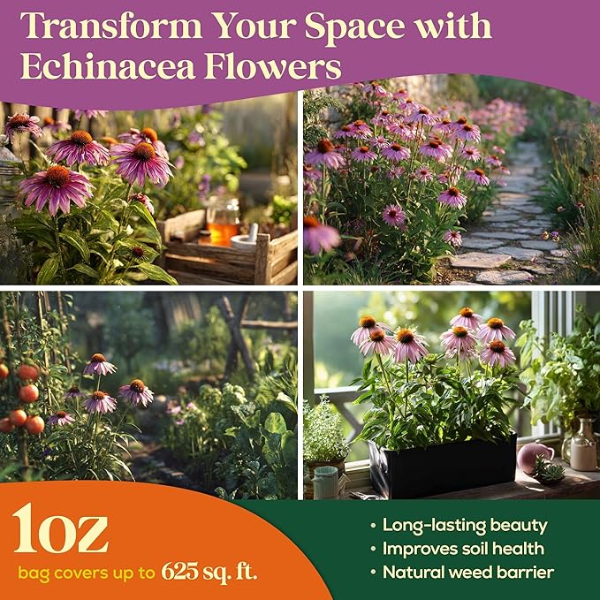 Echinacea Seed Pack 1 oz - 9,300 Non-GMO Heirloom Echinacea Seeds for Planting, Perennial Flowers in Waterproof Seed Packet, Coneflower Seeds for Planting Garden Indoor & Outdoor Gardening