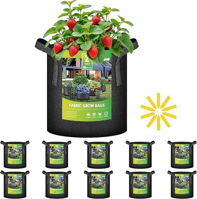 iPower 10 Pack 2 Gallon Grow Bags with Labels, 300G Thickened Nonwoven Plant Fabric Pots with Handles, Aeration Garden Grow Pots for Tomato Potato Vegetables, Fruits, Flowers, Black