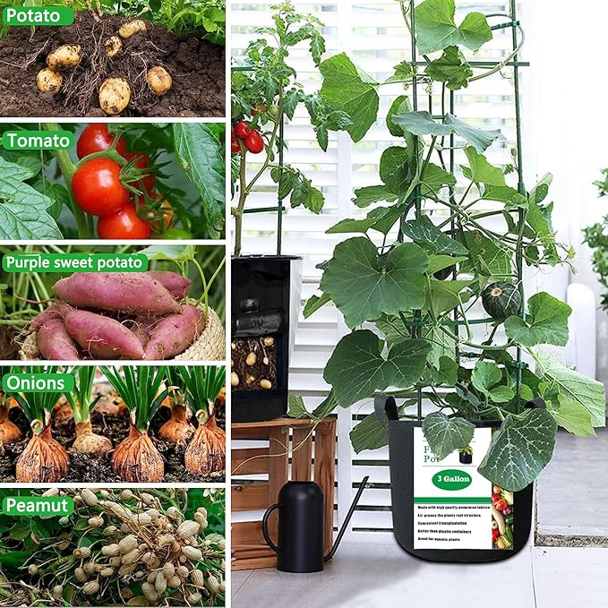 12-Pack 3 Gallon Plant Grow Bags Heavy Duty Thickened Nonwoven Fabric Pots with Handles