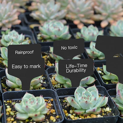 Prudance® 50pcs Reusable Waterproof Plant Markers for Garden T-Type Plant Labels for Seedlings Potted Plants Vegetables Succulents Durable Weatherproof Garden Tags （Black）