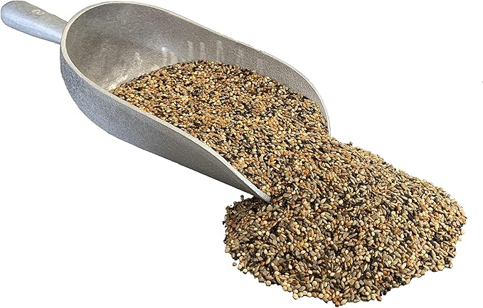 Pendelton Turf Supply Wild Finch Mix Extra | All-Natural, Premium Bird Seed (9 lbs Resealable Bag)