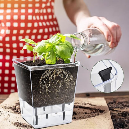 Self Watering Pots Set, 3 Pack Self Watering Pots for Indoor Plants, Clear Planter Pot with Deep Reservoir for Spider Plant, Orchid, African Violet (Clear, 3 Medium)