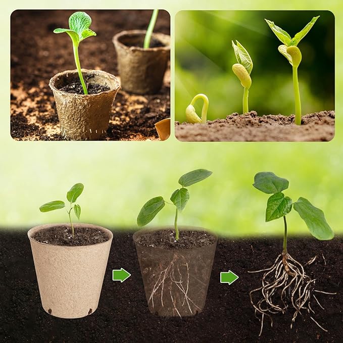 65 Pcs Organic Peat Pots, 3.15 Inch Nursery Pot, Round Plant Seedling Pots with Drainage Holes, Small Seed Starting Starter Tray Bulk, Garden Germination Container with 65 Planting Labels