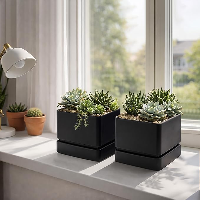 D'vine Dev 6 Inch Herb Planter Pot, Plastic Planter with Drainage Holes and Saucer, Modern Decorative Gardening Pot for Indoor Plants, Flowers, Herbs, Succulents, Black, Set of 2, 76-Y-B2-2