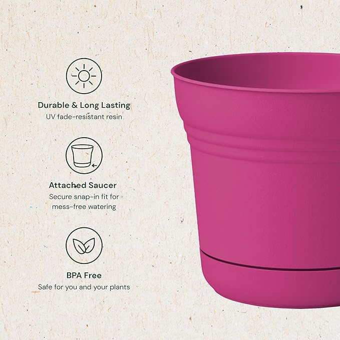Bloem Saturn 5" Fuchsia Round Resin Planter Pot with Snap-in Saucer for Indoor and Outdoor Gardening, 4-Pack