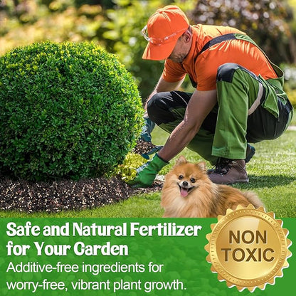 10-10-10 Slow-Release Premium Fertilizer - All-Purpose Plant Food for Indoor Outdoor Gardening Vegetables Flowers Lawn Trees Shrubs, 1 Quart