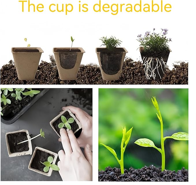580 Cells Seed Starter Tray 58 Packs Biodegradable Peat Pots Germination Trays Organic Seed Starting Trays kit with 58 Labels 2 Transplant Tools