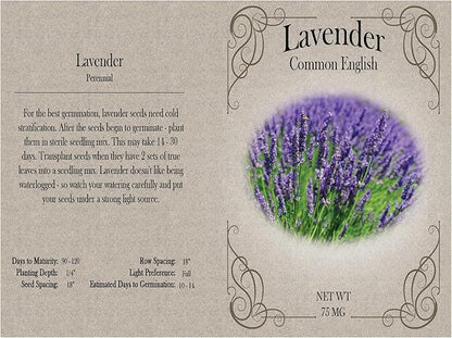 Set of 31 Premium Variety Flower Seed Packets - Heirloom Non-GMO and Proudly Sourced in The USA (31)
