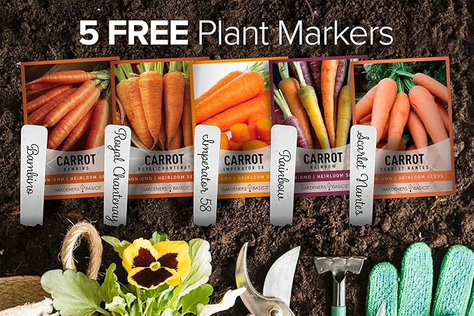 Gardeners Basics, Carrot Seeds for Planting Home Garden - 5 Variety Pack Rainbow, Imperator 58, Scarlet Nantes, Bambino and Royal Chantenay Great for Spring, Summer, Fall, Heirloom Carrot Seeds