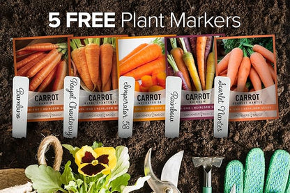 Gardeners Basics, Carrot Seeds for Planting Home Garden - 5 Variety Pack Rainbow, Imperator 58, Scarlet Nantes, Bambino and Royal Chantenay Great for Spring, Summer, Fall, Heirloom Carrot Seeds