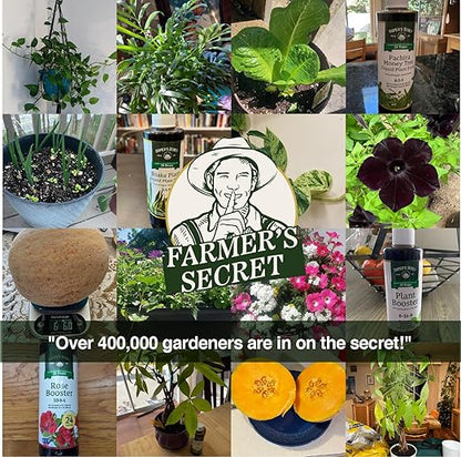 Farmer's Secret Tropical Houseplant Booster (4oz) - Super Concentrated, Makes 48 Gallons - Great for All Tropical Houseplants (Monstera, Fiddle Leaf, ZZ Plants, and more) - Easy to use Drip Top