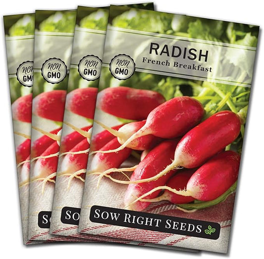 Sow Right Seeds - French Breakfast Radish Seed for Planting - Non-GMO Heirloom Packet with Instructions to Plant a Home Vegetable Garden - Fast Growing Variety - Long and Tapered with Spicy Flavor (4)