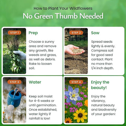 Created By Nature Utah Wildflower Seed Mix, 14 Flower Varieties, 53,000 Seeds