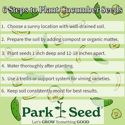 Park Seed Variety of Cucumber Seeds, Planting Cucumbers, Vegetable Seeds, Easy to Grow, Non-GMO, Perfect for Harvesting, Sweet Success Hybrid, Pack of 10