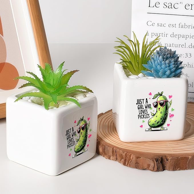 Pickle Succulent Planter Flower Plant Pot Small, Gifts for Women Teens Girls Kids, Pickle Lovers Themed Stuff Accessories Things Decor Merch, Home Office Table Desk Decoration!
