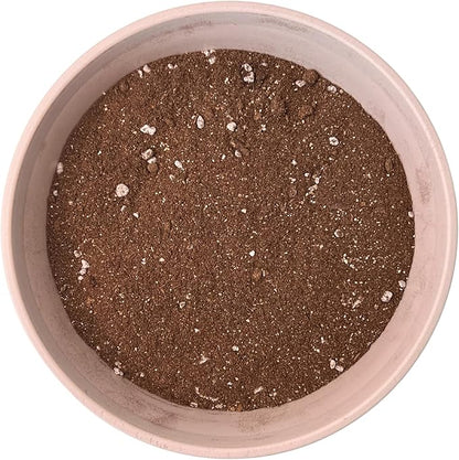 Cactus & Succulent Potting Soil Mix - Made with Perlite and Vermiculite - pH-Controlled for Indoor and Outdoor Plants - Made in USA - (8 Quarts)