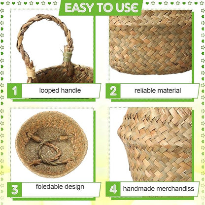 Qunclay 4 Pcs Woven Seagrass Baskets Belly Basket Folding Boho Natural Plant Pot with Handles Round Decorative Wicker Large Indoor Planter for Home Outdoor Tree Planters Decor (Xs,7.9''dx6.3''h)