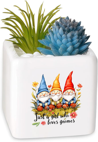 Gnomes Succulent Planter Flower Plant Pot Small, Gifts for Women Teens Girls Kids, Gnomes Lovers Themed Stuff Accessories Things Decor Merch, Home Office Table Desk Decoration!