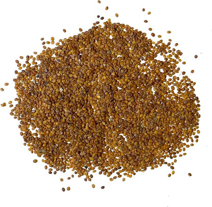 Seed Needs Heirloom Alyssum Flower Seed Packet Collection Variety Pack (Includes 4 Packets) Basket of Gold, Royal Carpet, Dwarf Pink & Carpet of Snow - Perfect for Rock Gardens