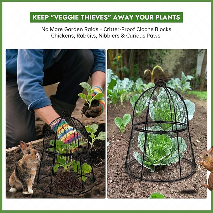Decoroca 4 PCS Garden Cloches for Plants - Chicken Wire Plant Protectors from Animals, Outdoor Plant Cages to Keep Squirrels, Rabbits & Birds Out of Vegetable - DIY in 5 Forms - Sturdy Anti-Rust Dome