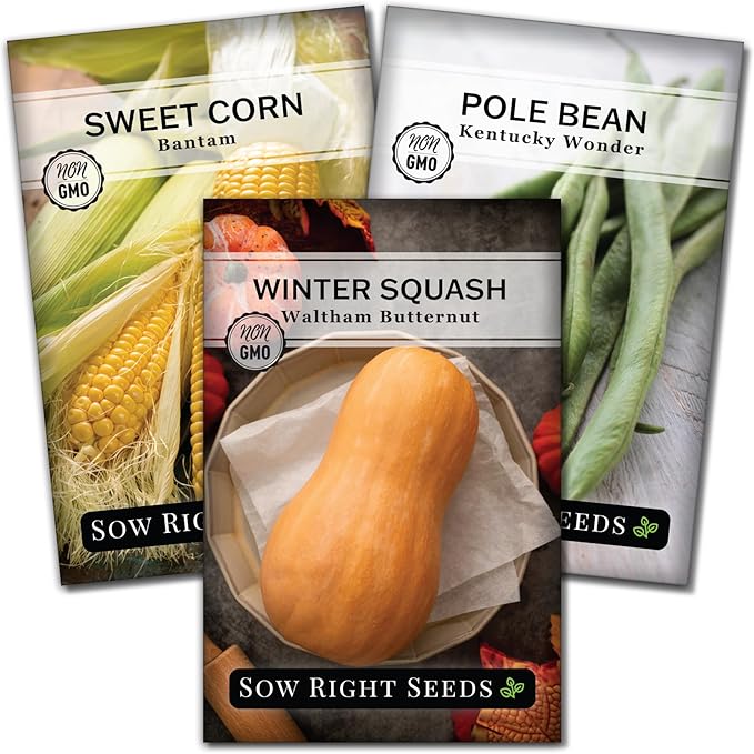 Sow Right Seeds - 3 Sisters Seed Collection for Planting - Packets of Bantam Sweet Corn, Kentucky Wonder Pole Bean, and Waltham Butternut Squash - Non-GMO Heirloom Seeds to Plant Home Vegetable Garden