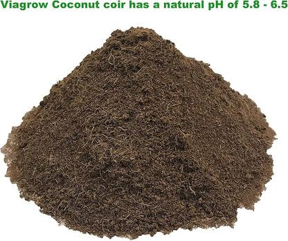Viagrow® 650 g (1.4 lb.) Compressed Coconut Coir Premium Grow Media (3-Packs) / A Product of The Harvest Company™