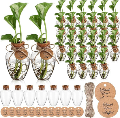 Baderke 24 Pack Big 10oz Plastic Plant Propagation Stations with Hole Lid Planter Vase Clear Propagation Jars with Thank You Tags for Plant Lover Gifts for Women Office Home Garden