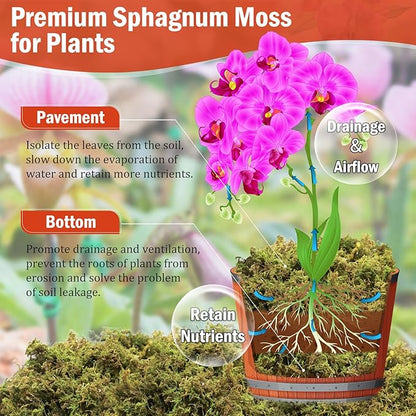 Riare 3.5OZ Premium Sphagnum Moss for Plants- 4QT Natural Dried Plant Moss for Potted Plants, Orchid Moss for Repotting, Soft Green Decorative Moss for Succulents, Reptiles & DIY Crafts