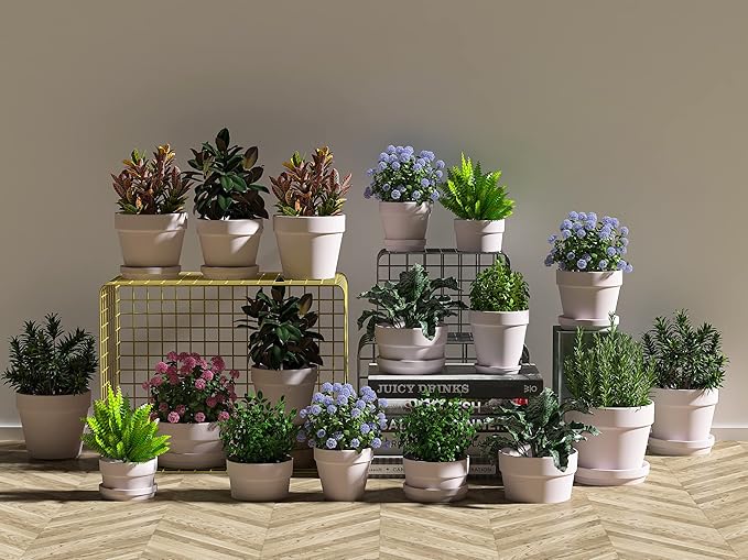 2 Inch Pink Terracotta Pots Pack of 72 - Mini Clay Pot with Drainage Hole for Tiny Cactus Herb lithop, Small Succulent Planter Nursery Plant Pot for Windowsill, Cactus Plant, Crafts, Wedding Favors