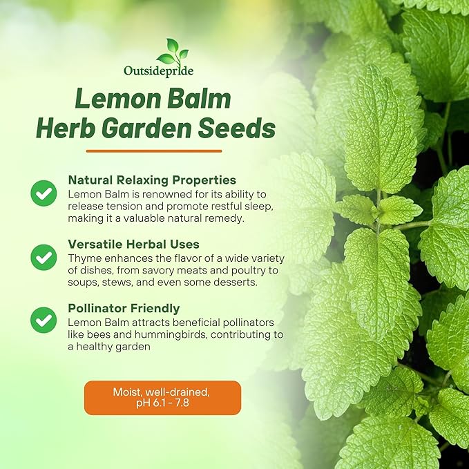 Outsidepride Lemon Bee Balm Seeds - 10,000 Perennial, Easy to Grow & Pollinator Friendly Melissa officinalis Flower Seeds for Planting Mint Scented Leaves & Edible Blooms, Great for Teas & Potpourri